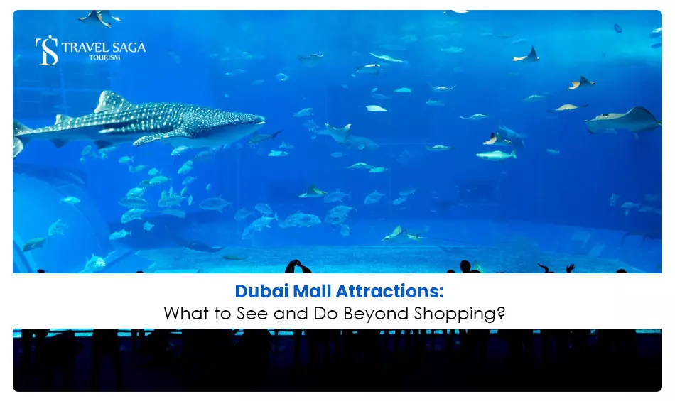 Dubai Mall Attractions: What to See and Do Beyond Shopping?