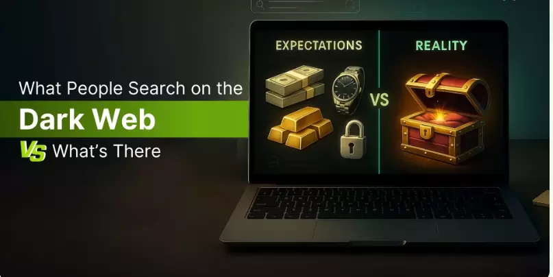 What Is Haystak? A Complete Guide to the Dark Web Search Engine