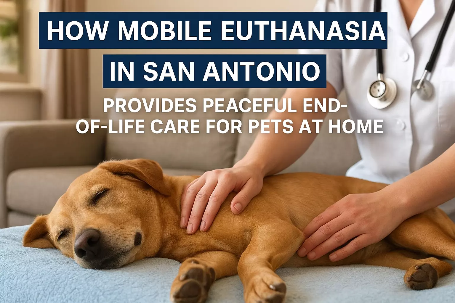 How Mobile Euthanasia in San Antonio Provides Peaceful End-of-Life Care for Pets at Home