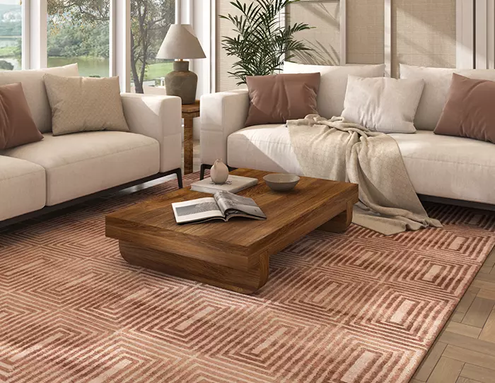 Modern Carpets for Living Room Stylish Home Decor Ideas