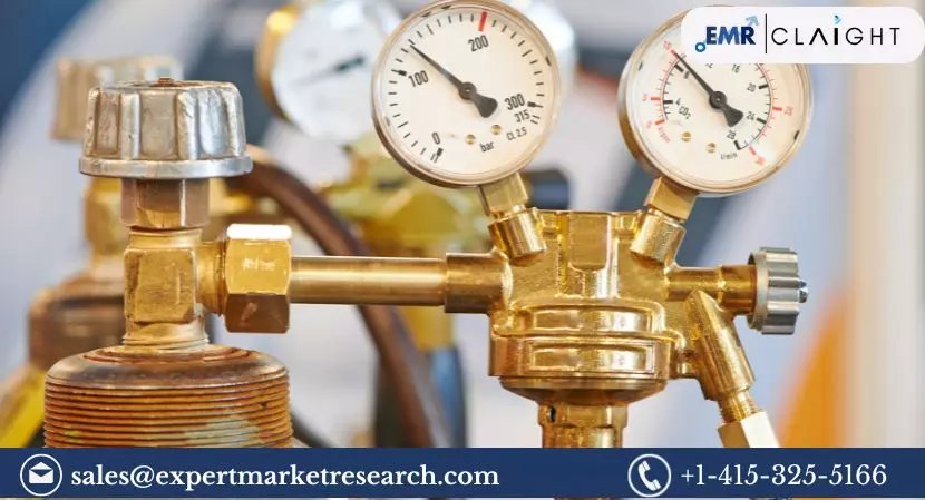 Global Industrial Gas Regulator Market: Trends, Growth, and Forecast (2025-2034)