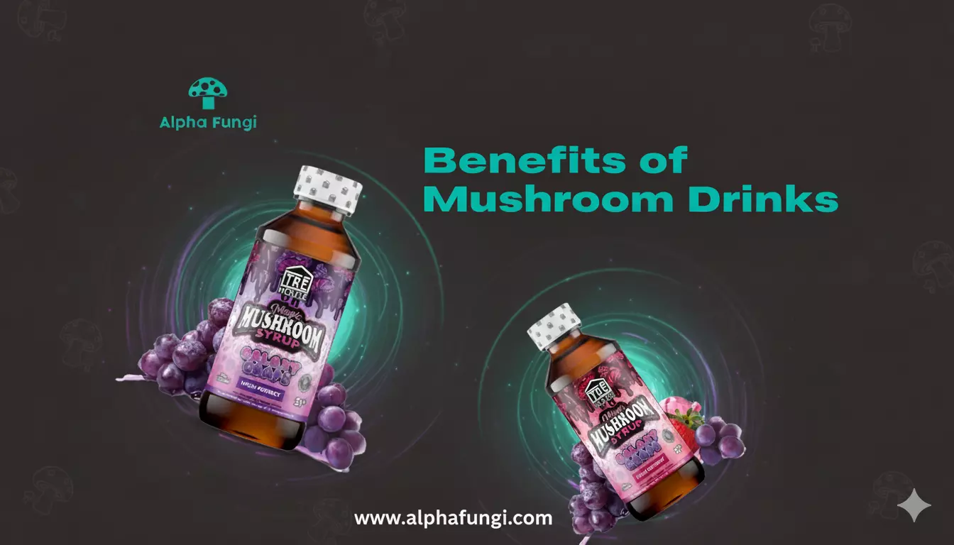 Exploring the Power of Mushroom Drinks for Daily Wellness