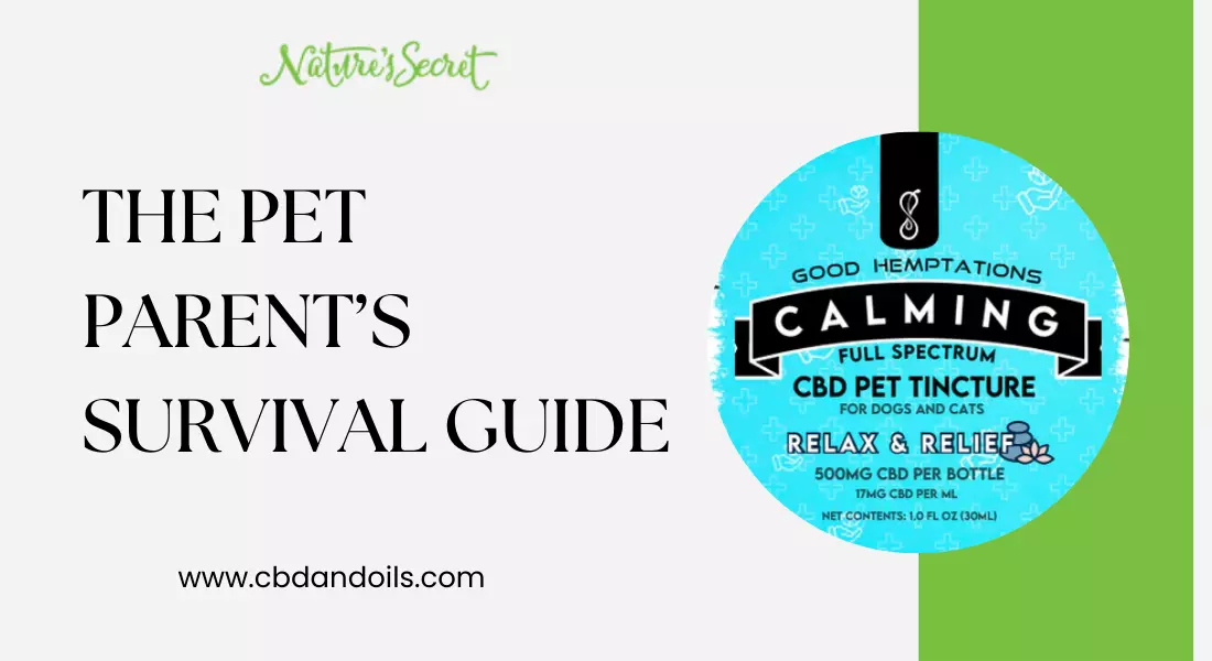 The Pet Parent’s Survival Guide