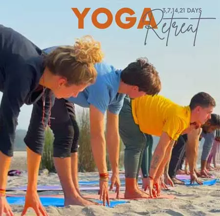 Yoga Teacher Training in India