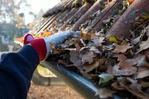 How Gutter Cleaning in Red Hill South Can Save You Money on Repairs