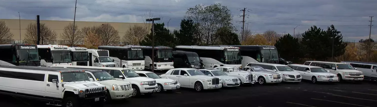 How Can a Limousine Service Take the Stress Out of Travel?