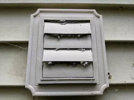 What Are the DIY Risks of Attempting Clovis Dryer Vent Cover Replacement