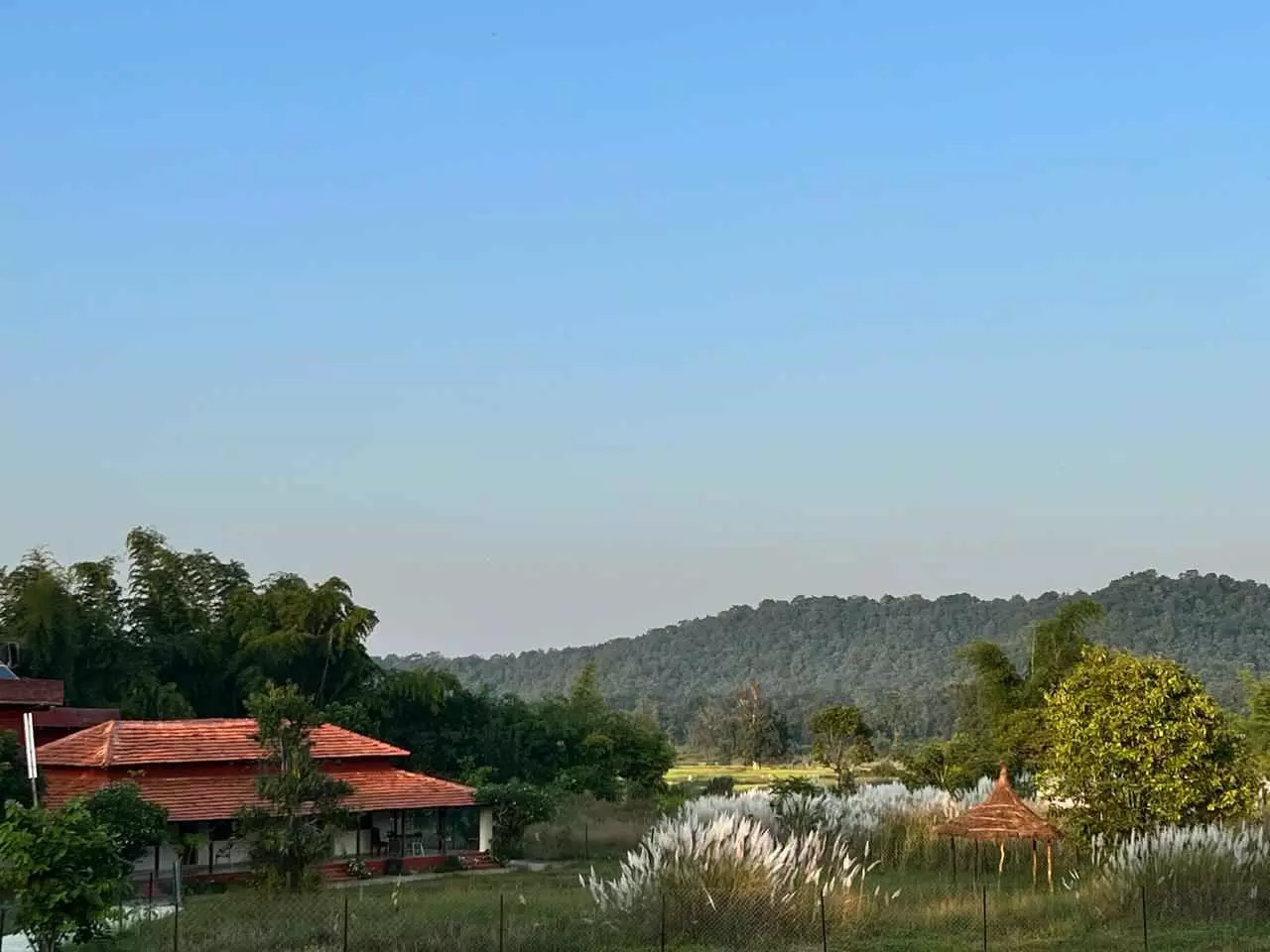 Best Resorts in Bandhavgarh for a Luxury Jungle Stay – The Tiger Valley Resort