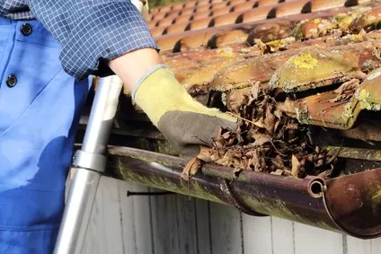 Gutter Cleaning Dandenong – Essential Home Maintenance for Every Property