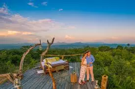 Why Is a Tanzania Safari Honeymoon the Most Romantic Adventure? | Plains Serengeti Experience