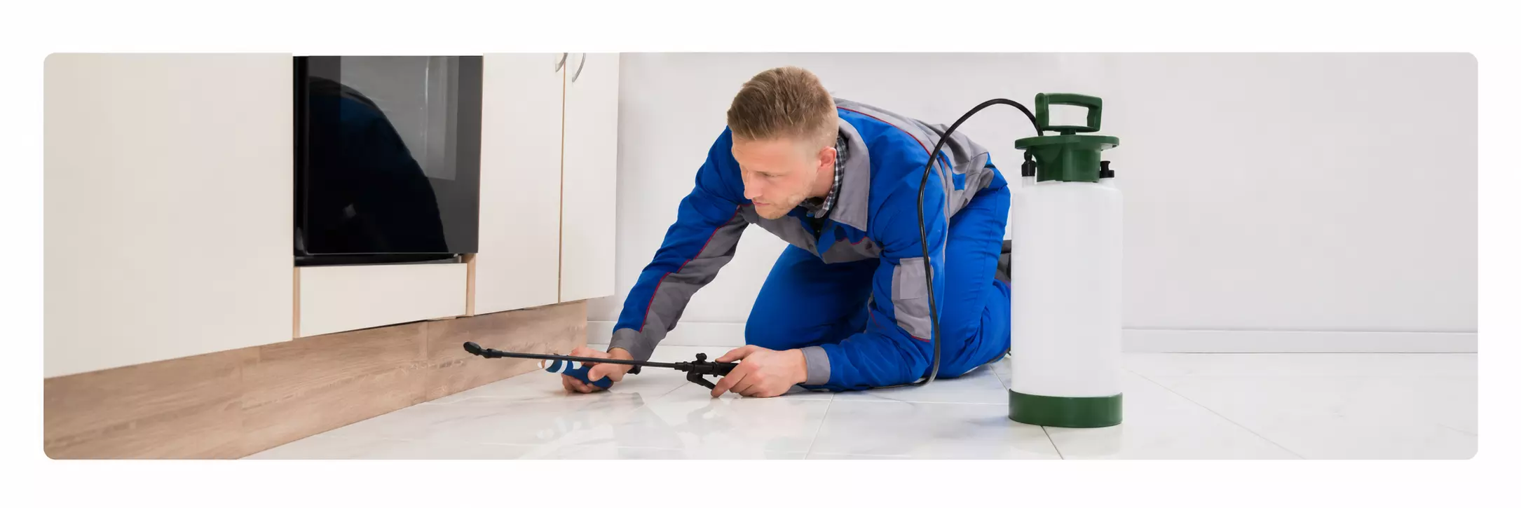Tampa Pest Services That Help Keep Homes Safe and Pest-Free