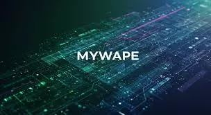 How WyWape Keeps You Updated With Latest Information and Blogs?