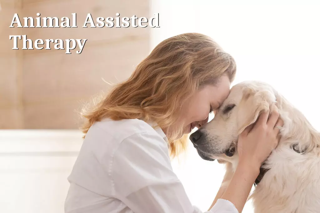 How Animal Assisted Therapy Works: A Simple Guide for Everyone