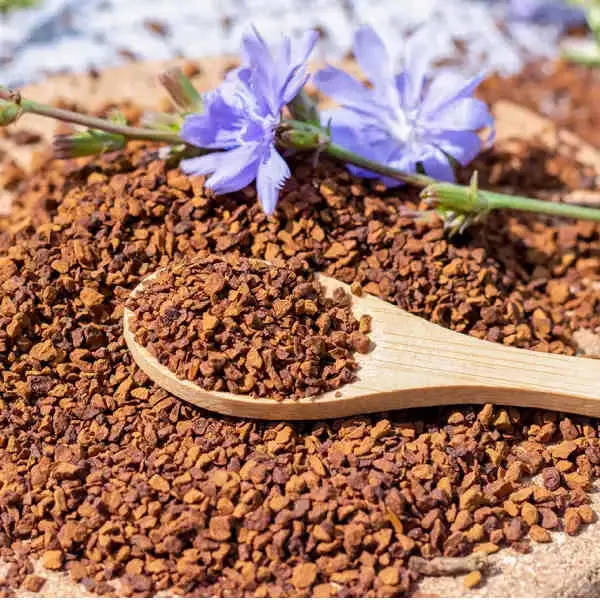 Chicory Exporter: Bridging Quality Agricultural Products with Global Markets