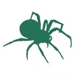 Ultimate Pest Control Company in Dubai