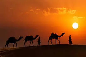 Travel to India - Visit Mystical Rajasthan for a Cultural and Heritage Tour