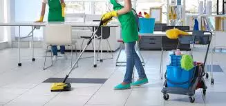 Professional Disinfection Services for a Cleaner, Safer Workplace