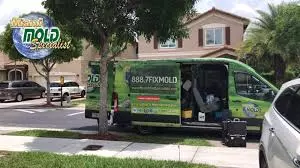 Mold Removal Specialist Miami | Expert Services.