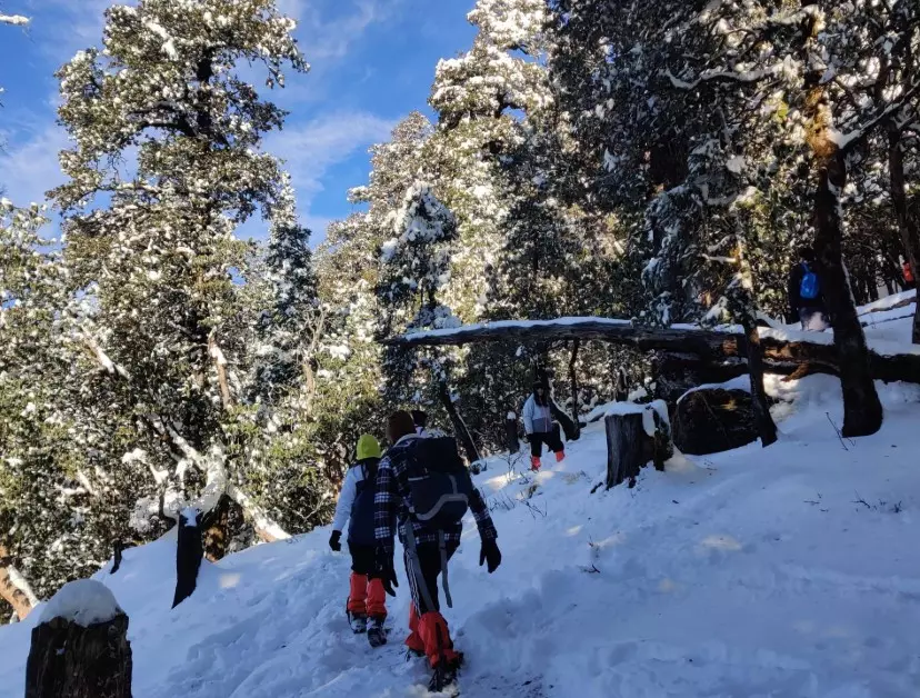 Why Brahmatal is the Best Winter Trek in Uttarakhand By Himalayan Dream Treks