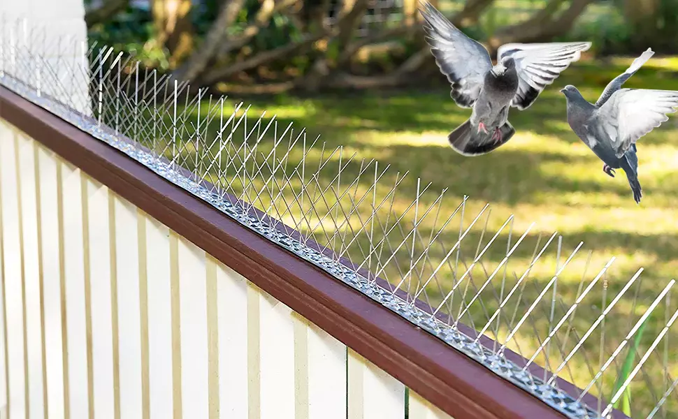 Bird Spikes for Balcony: A Practical Solution for Protecting Your Space
