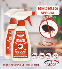 What Is the Best Bed Bug Control Spray in Lahore for a Pest-Free Home?