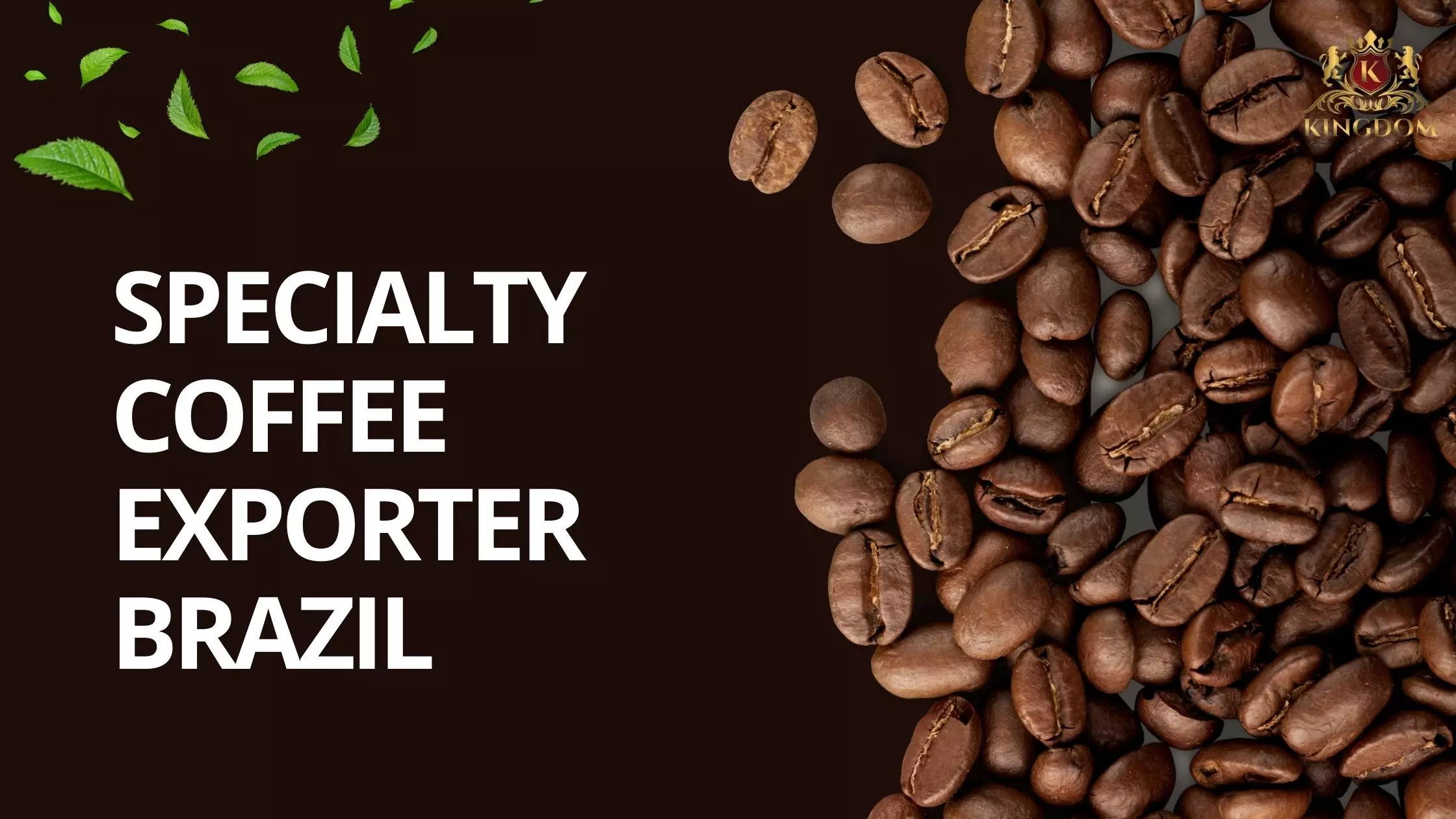 Exploring Brazil’s Specialty Coffee Supply Chain for Exporters